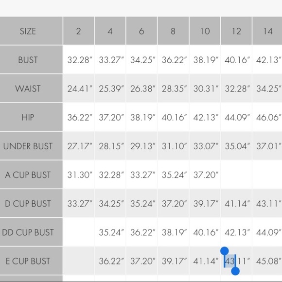 NWOT SeaFolly Beach Gypsy Scuba Tank - Picture 9 of 9